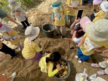 드림텃밭 감자.jpg
